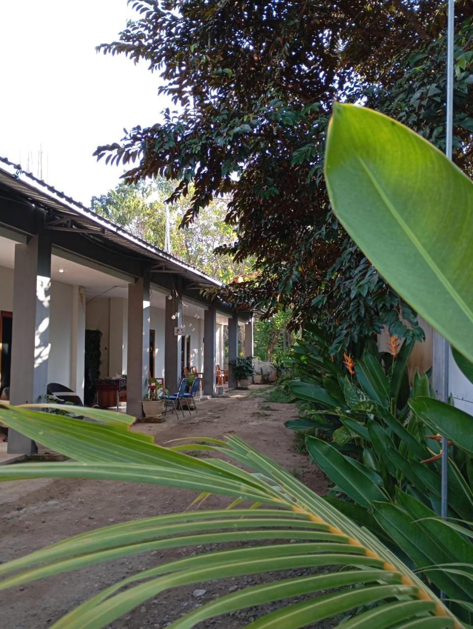 Wl Guesthouse Labuan Bajo Exteriér fotografie