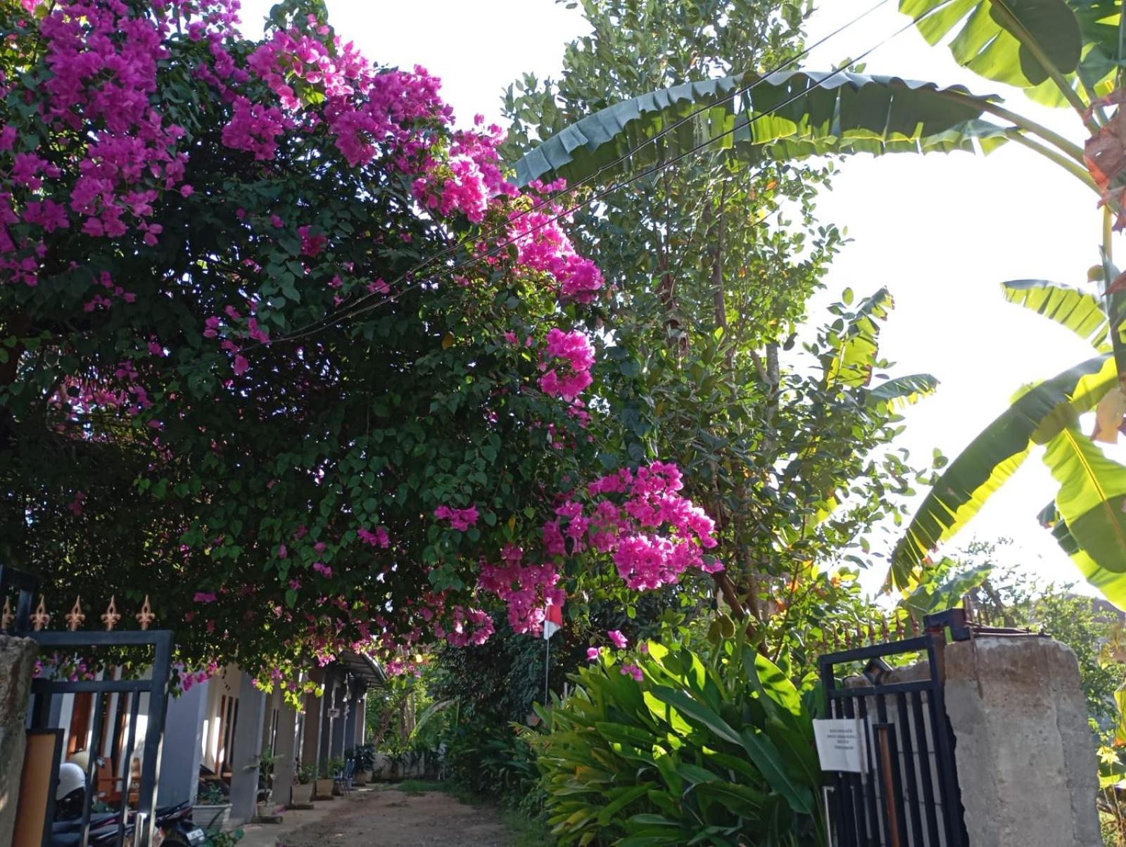 Wl Guesthouse Labuan Bajo Exteriér fotografie