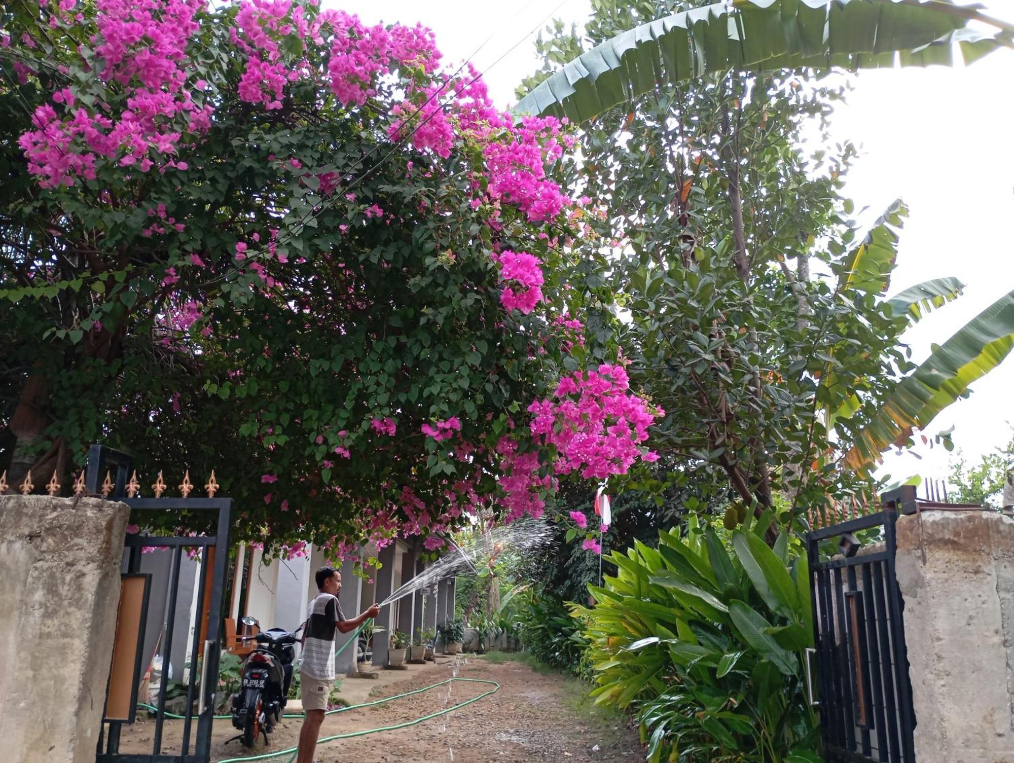Wl Guesthouse Labuan Bajo Exteriér fotografie
