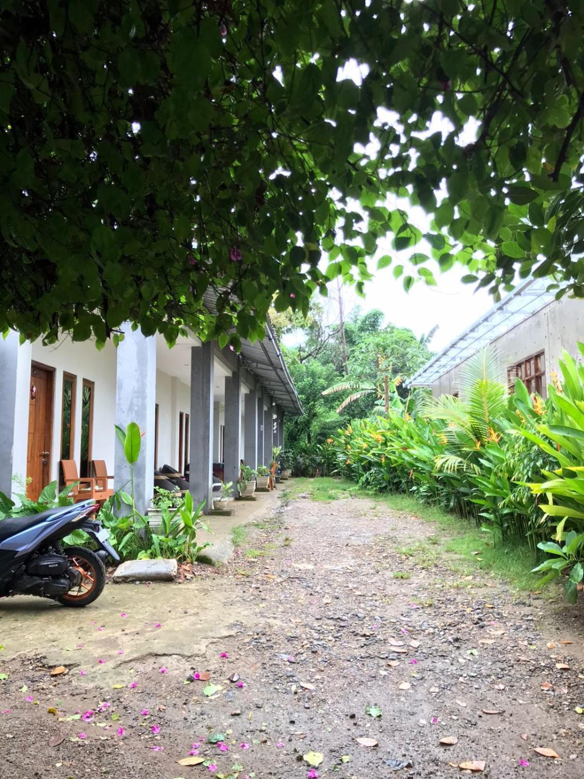 Wl Guesthouse Labuan Bajo Exteriér fotografie