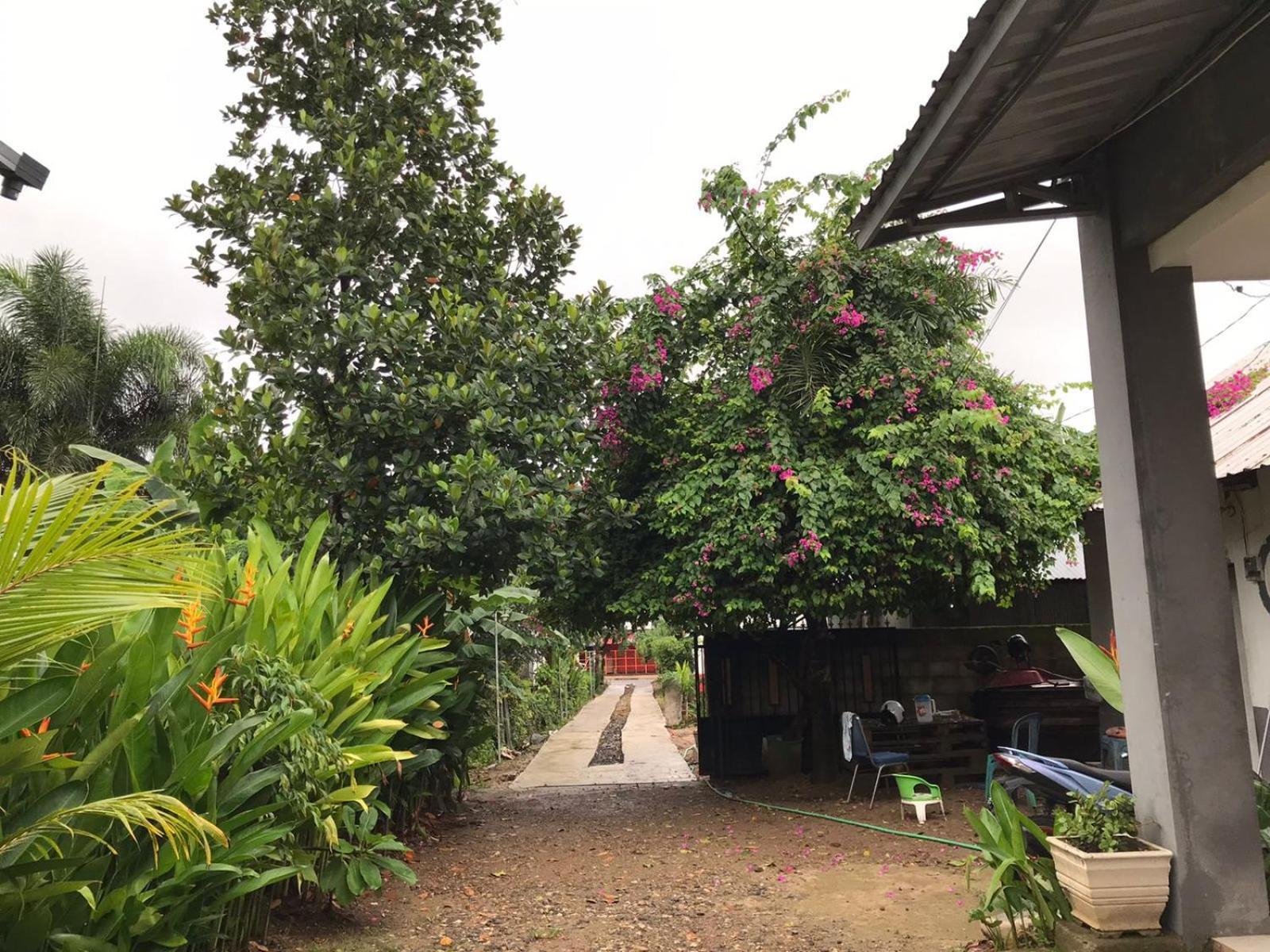 Wl Guesthouse Labuan Bajo Exteriér fotografie